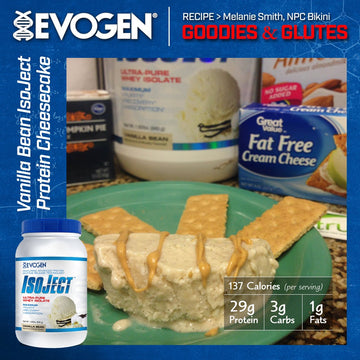 Vanilla Bean IsoJect Protein Cheesecake